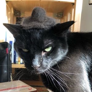 Meet your Posher, Ella